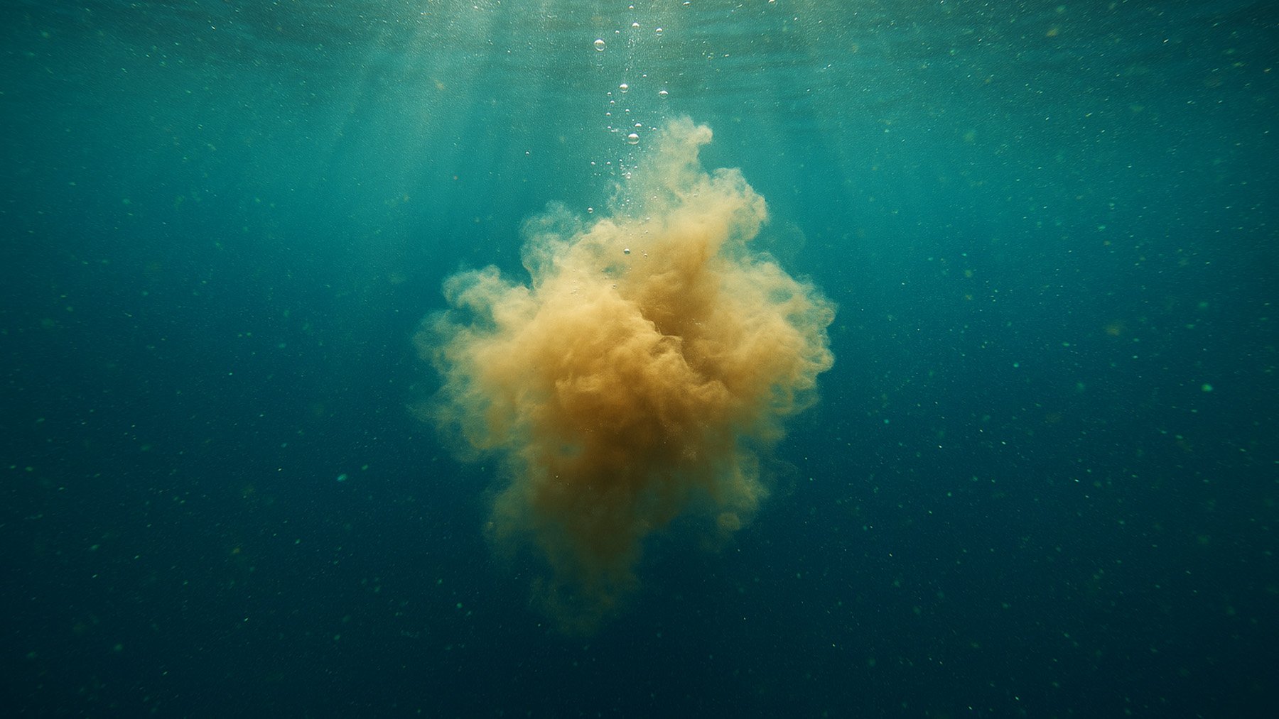 Excremento flotando en el océano. Foto: Ilustración propia.