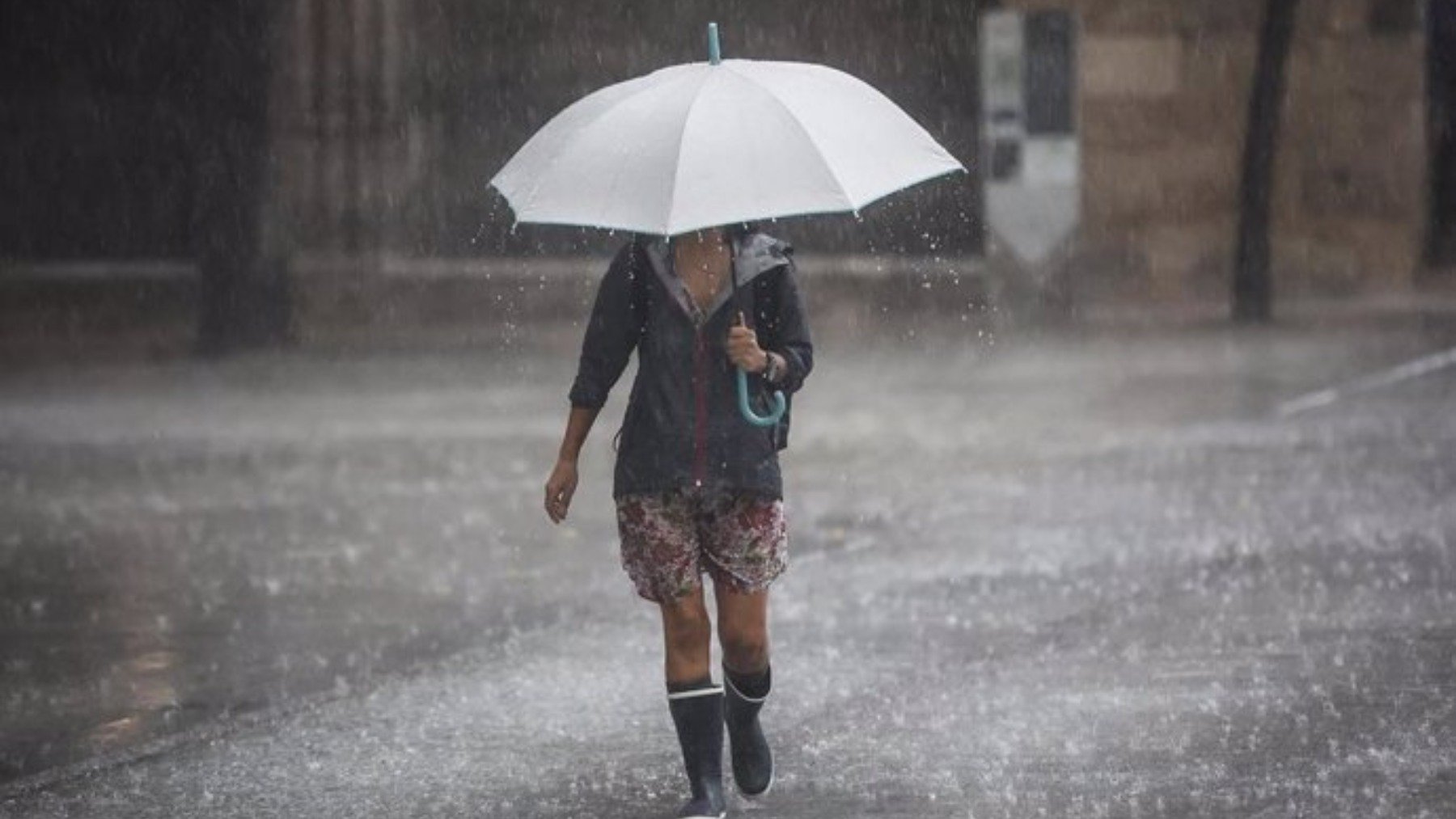 Lluvias. (EP)