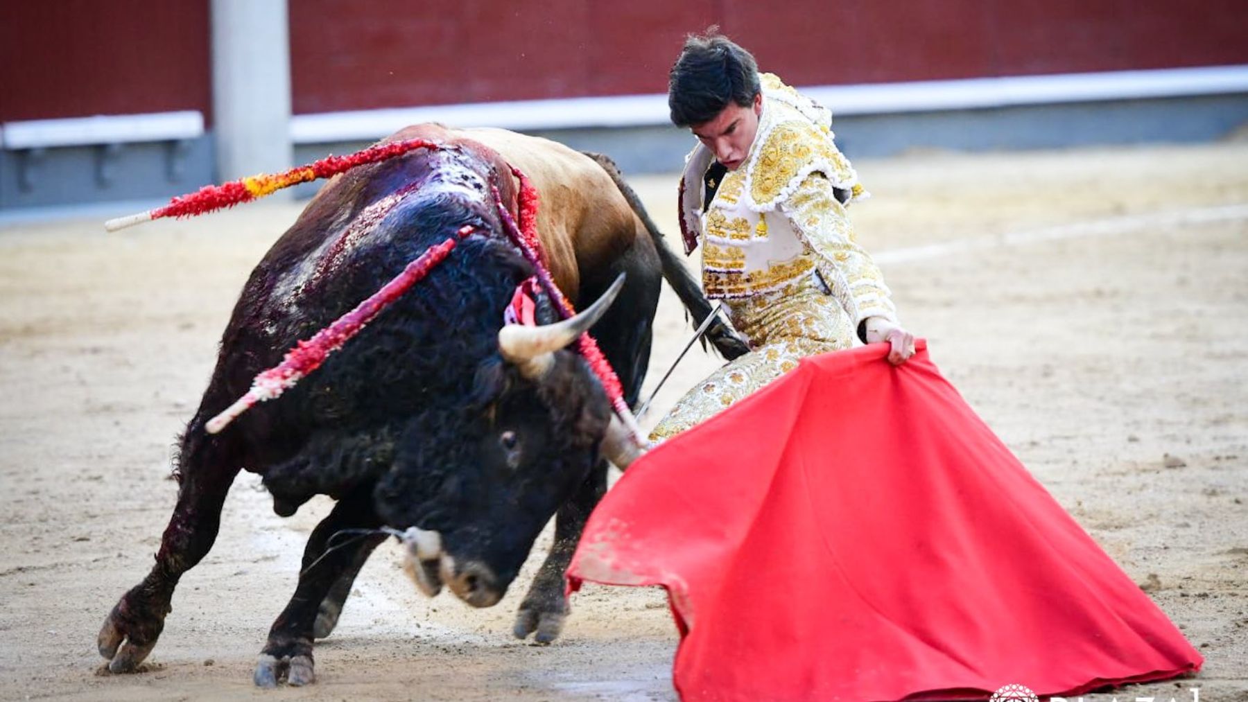 Alejandro Peñaranda en Las Ventas, este miércoles. (Plaza 1)