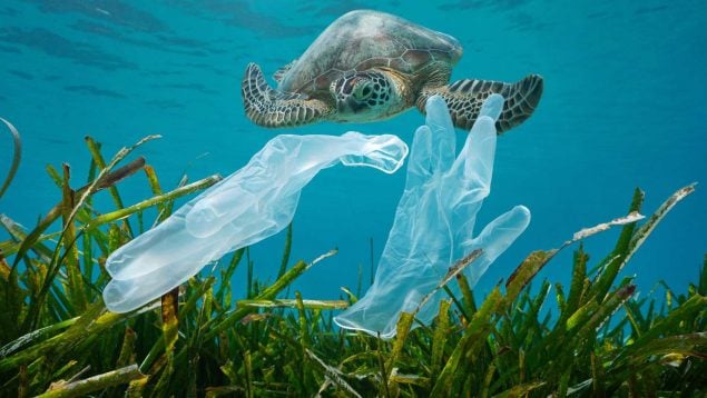 Plásticos en el océano