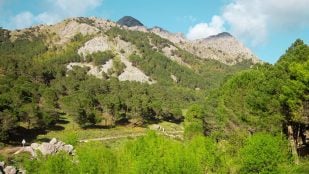 Ruta