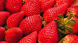 Fresas
