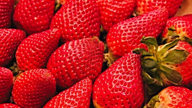 Fresas