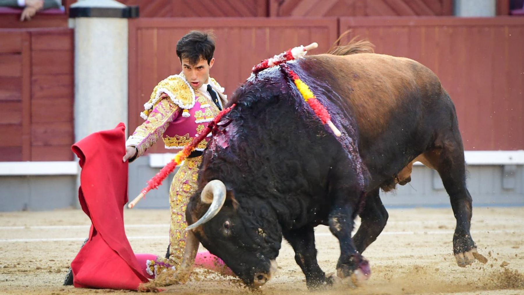 Samuel Navalón, en Las Ventas, este viernes. (Plaza 1)