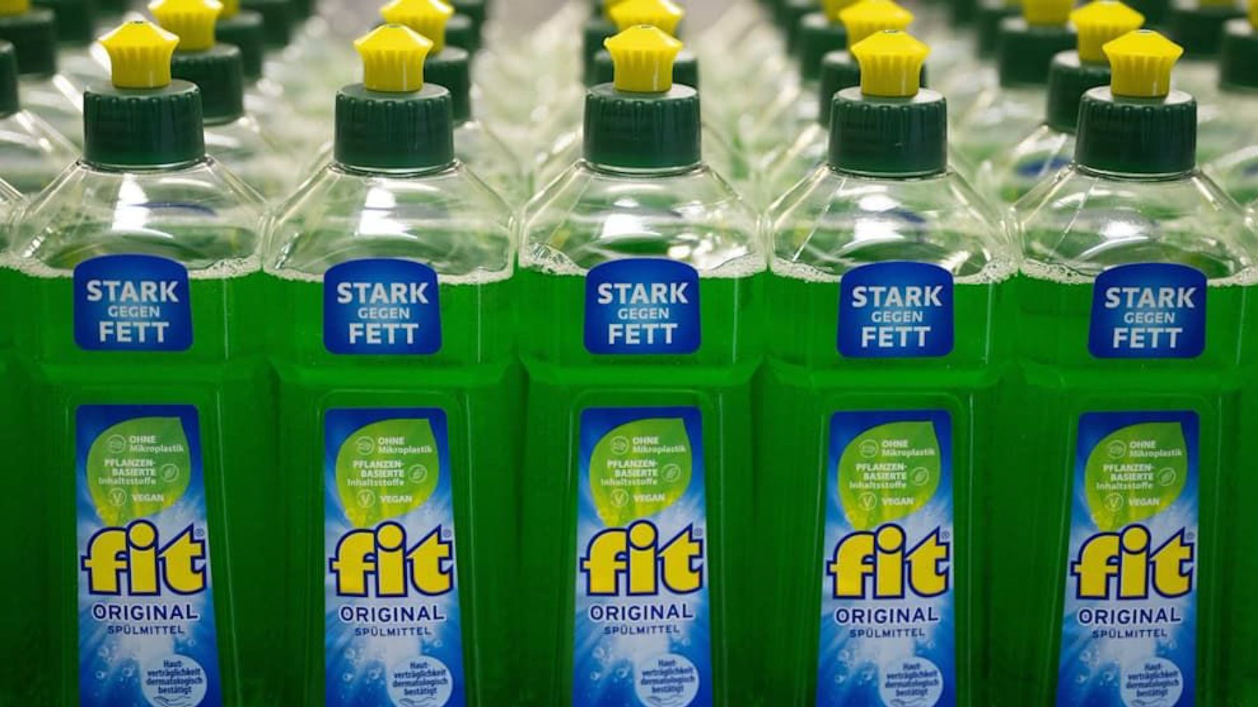 Fit GmbH, líder alemán de la industria de los detergentes.