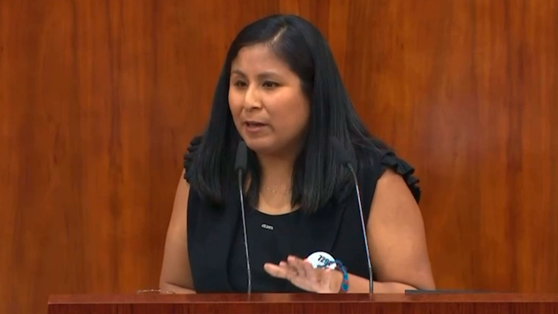 Diana Paredes, diputada de Más Madrid en la Asamblea.