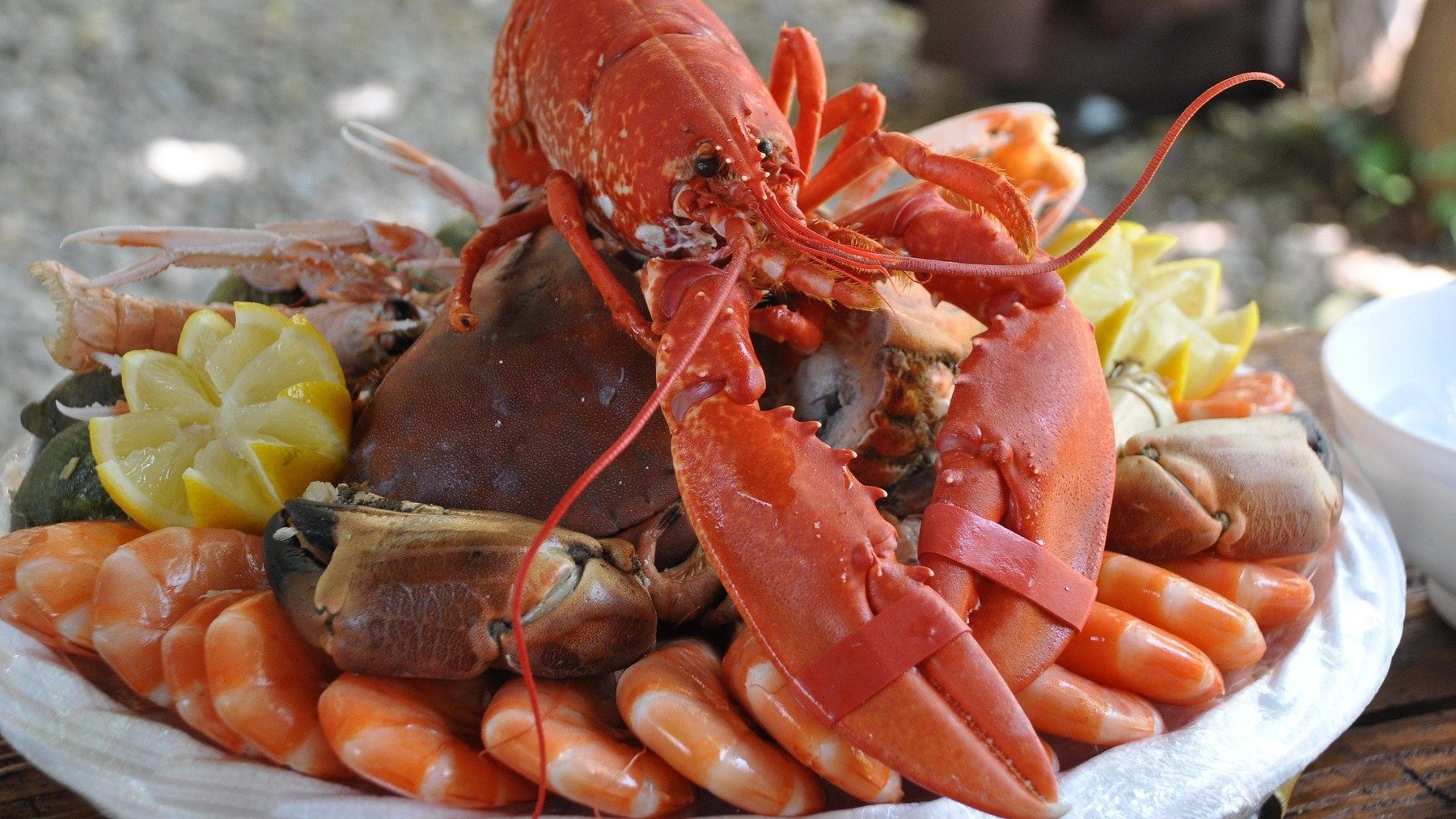 Plato de marisco.