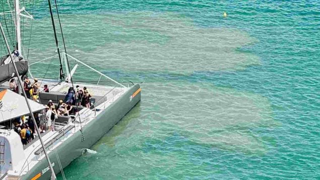 Palma party boats