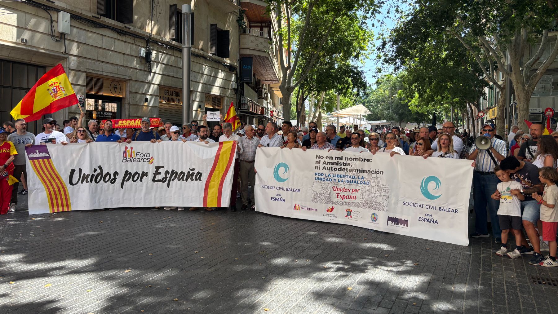 Manifestación en Palma contra el Gobierno de Pedro Sánchez.
