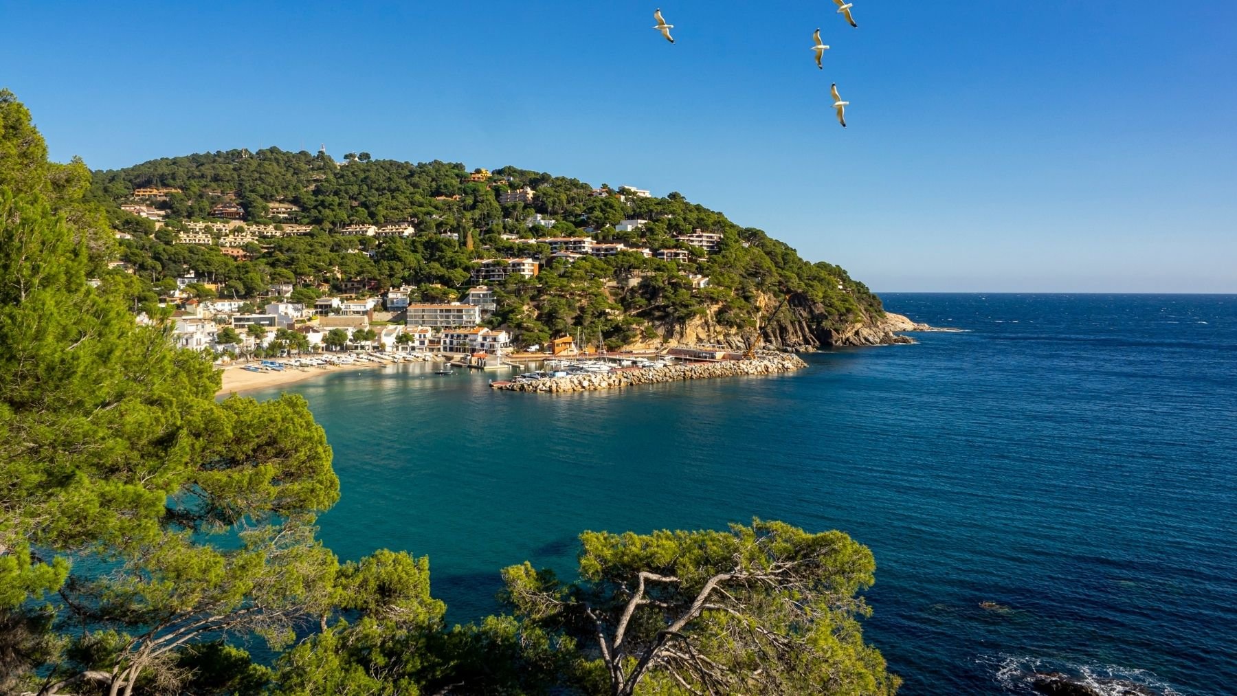 Costa Blanca.