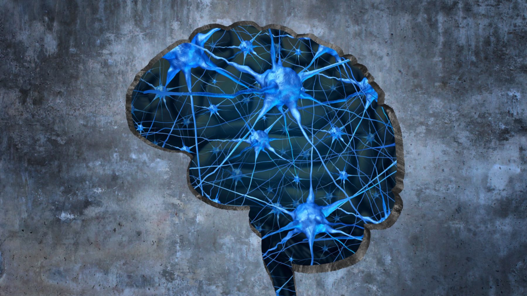 El estudio se ha presentado en las VI Jornadas Neurocientíficas y Educativas Fundación Querer.