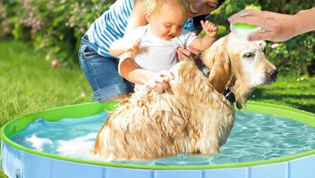 Piscina plegable para perros y niños