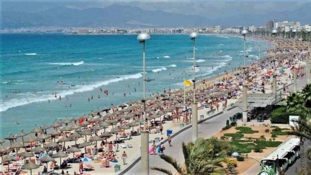 Detenidos argelinos, georgianos, rumanos y colombianos por diferentes hurtos a turistas en Playa de Palma
