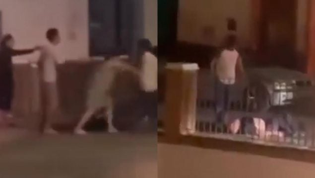 Ver vídeo