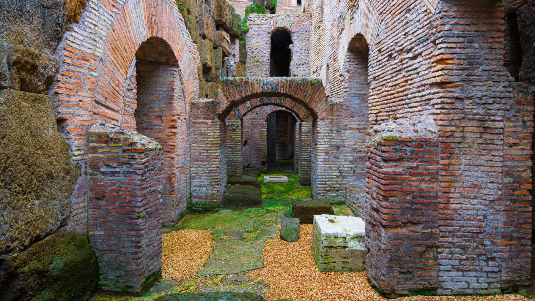 Descubrimientos bajo el Coliseo.
