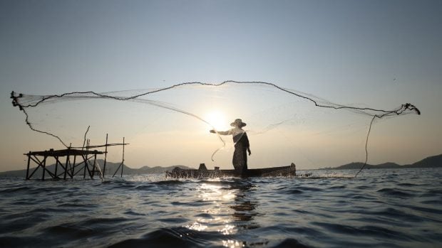 pesca artesanal
