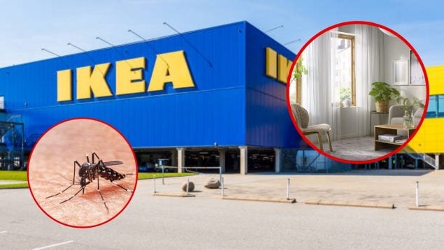 mosquitos IKEA