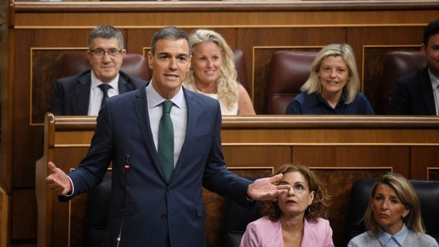 Ver vídeo
