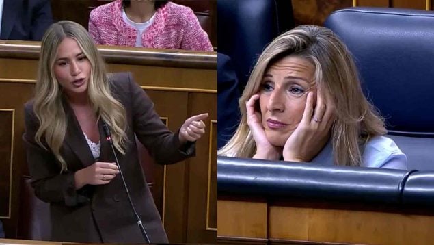 Ver vídeo