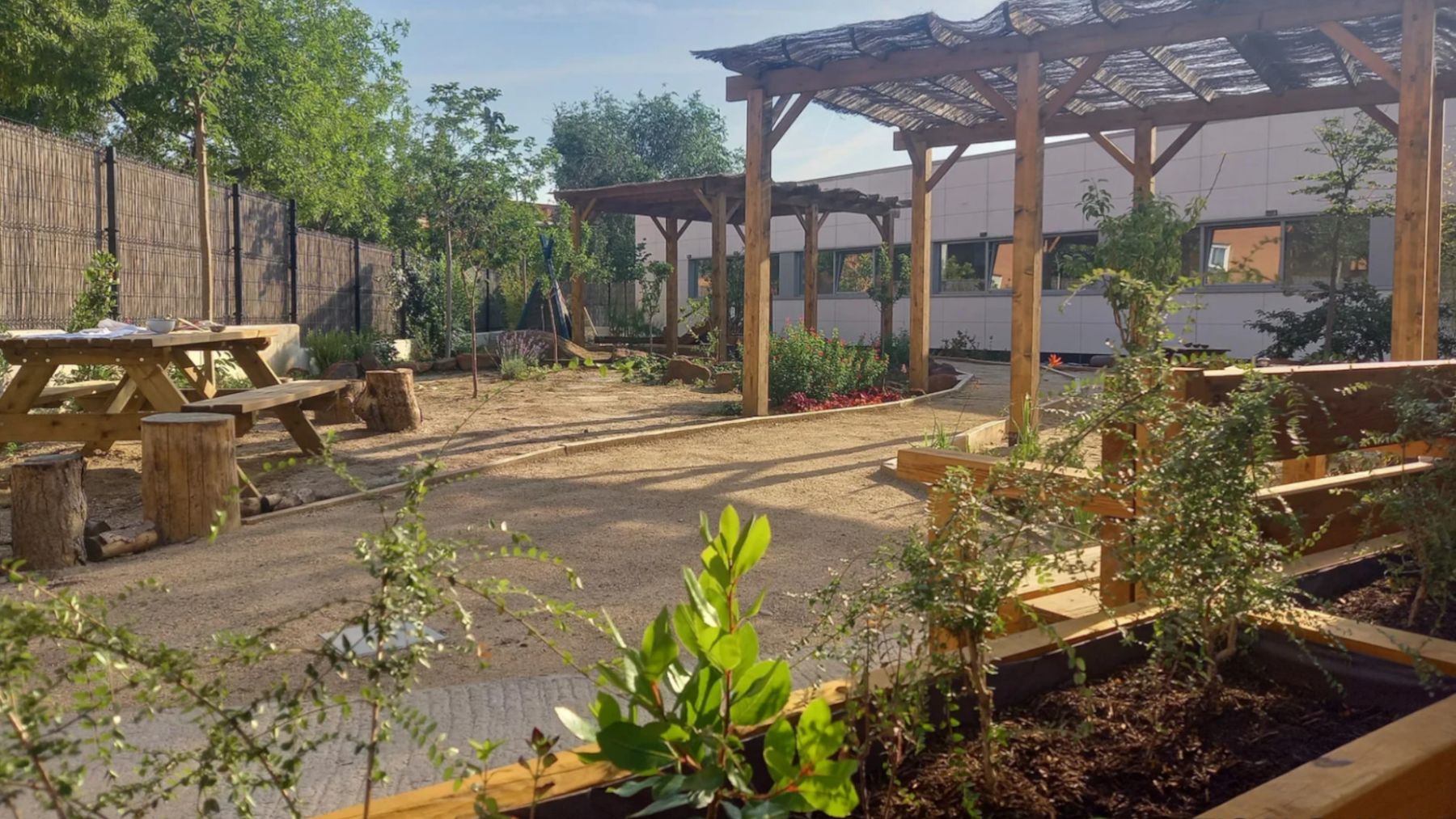 Patio escolar renaturalizado por Patios X Clima, una estrategia efectiva contra el calor.