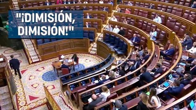 Ver vídeo