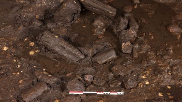 Cueva de Valencia, descubrimientos, curiosidades