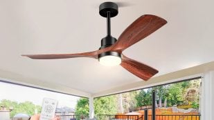 Ventilador de techo Forrovenco