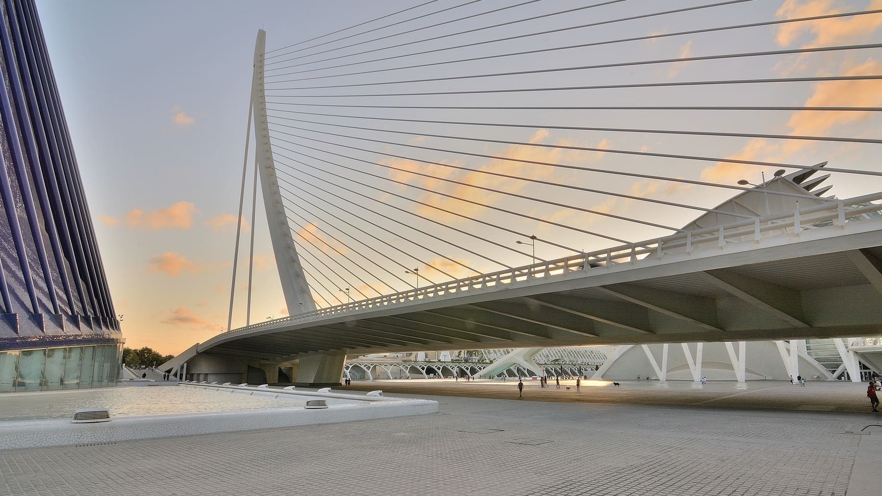 Ciudad de las Artes y las Ciencias.