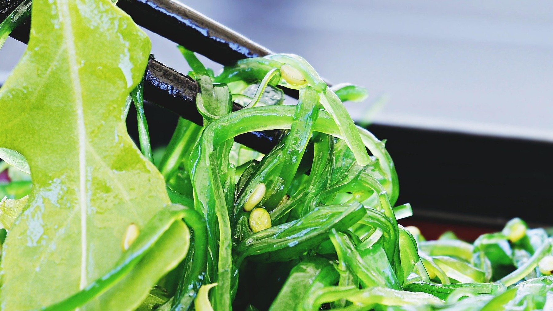 Wakame.