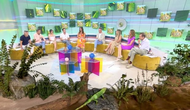 Colaboradores de 'Vamos a ver', programa de Telecinco. (Mediaset)
