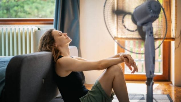 ventilador Lidl verano