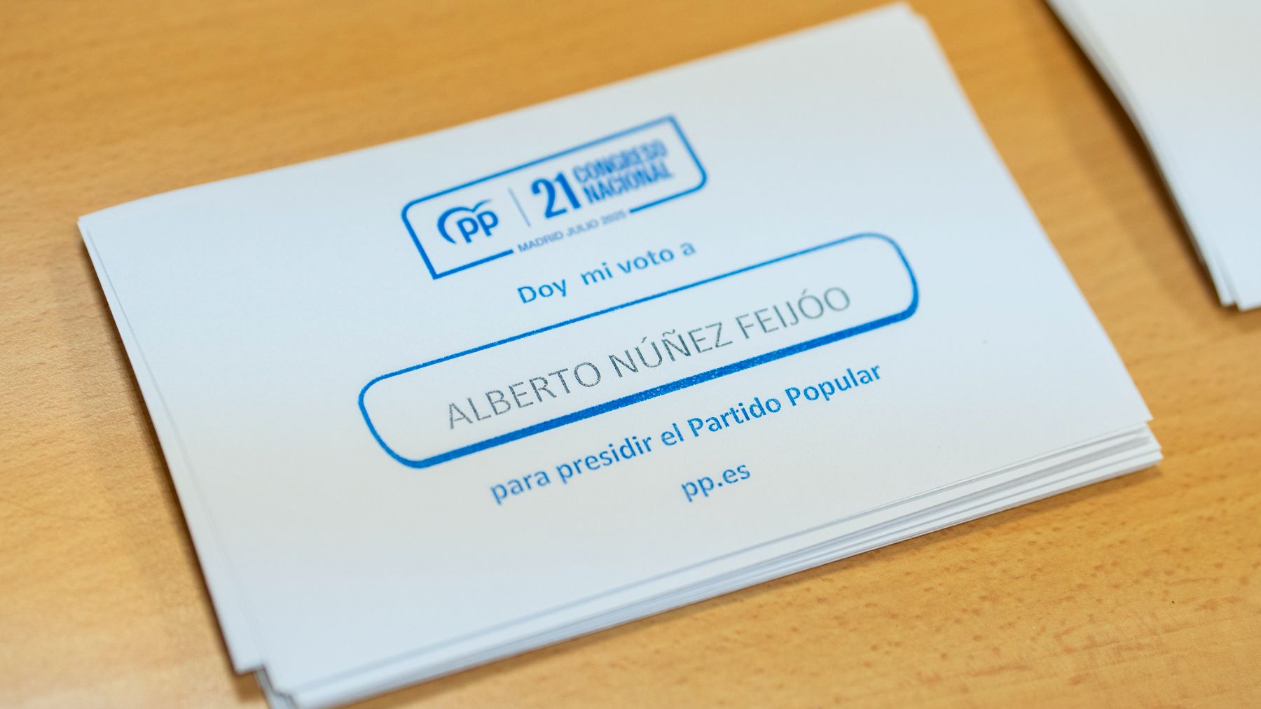 Proceso de primarias del PP. (EP)