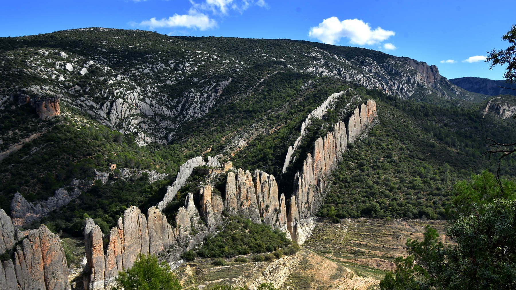 Muralla de Finestras. Foto: Angela Llop en Flickr.