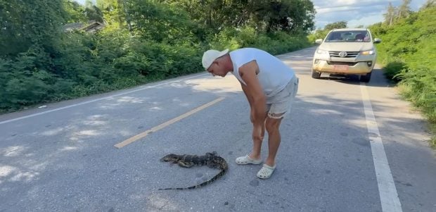 Frank Cuesta rescata a un animal desorientado en plena carretera (YouTube).