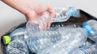 disruptores endocrinos