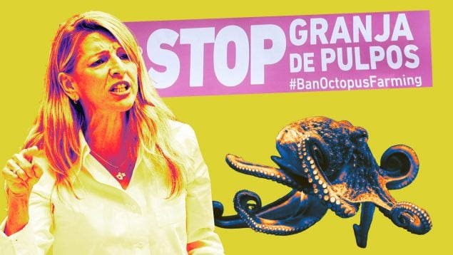Díaz pulpos