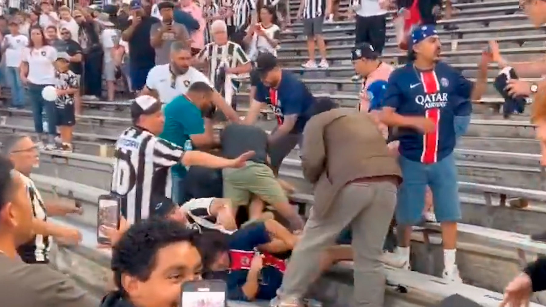 PELEA-AFICIONADOS