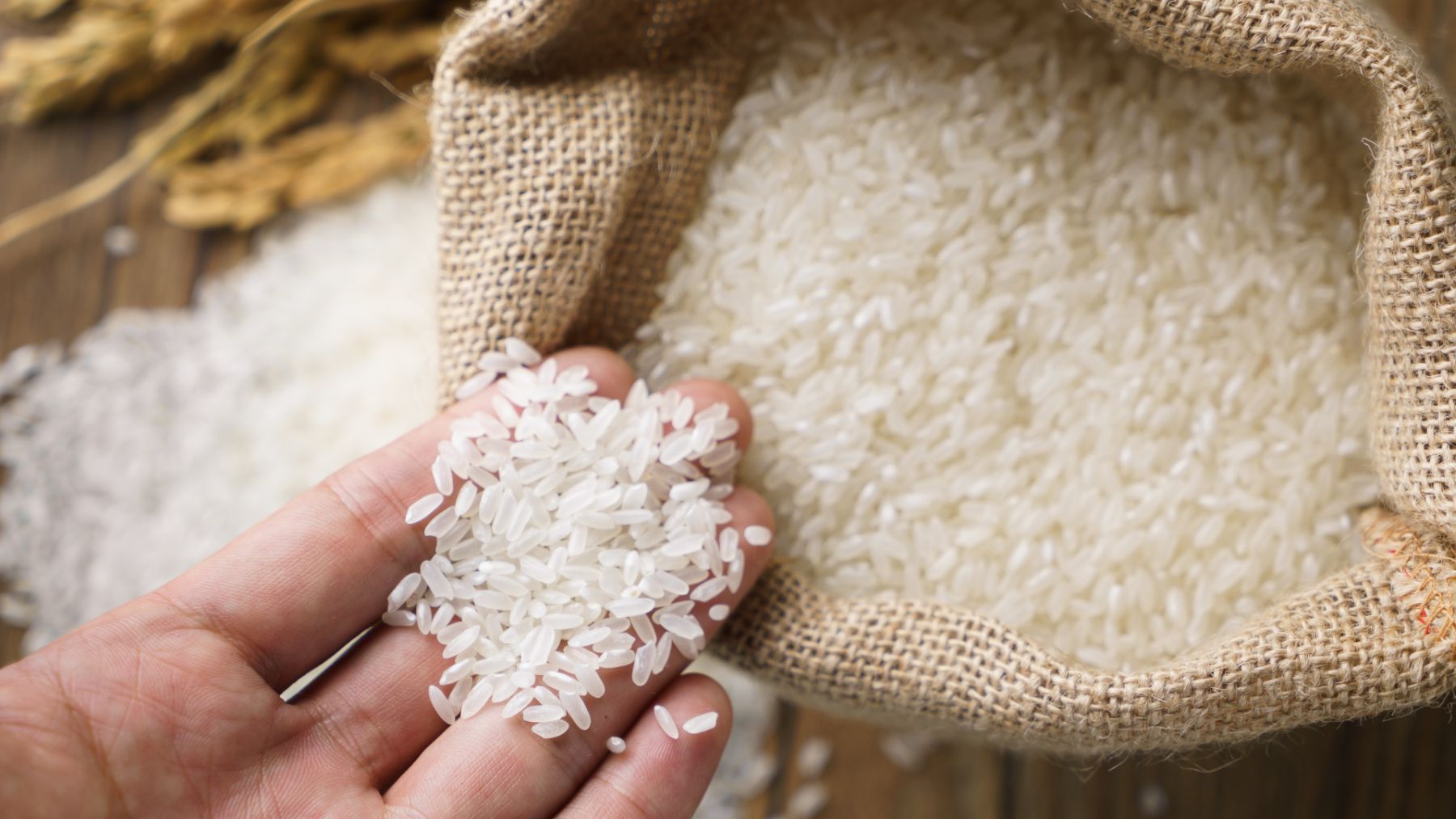 De la cáscara de arroz se ha conseguido obtener un nuevo material capaz de sustituir al plástico.