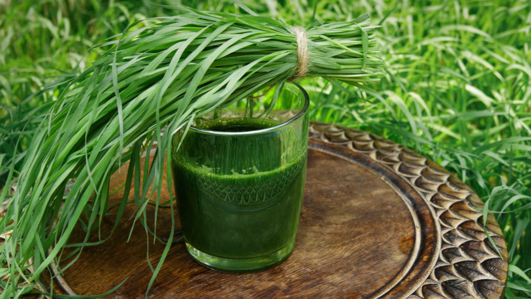 La bebida de clorofila es rica en antioxidantes.