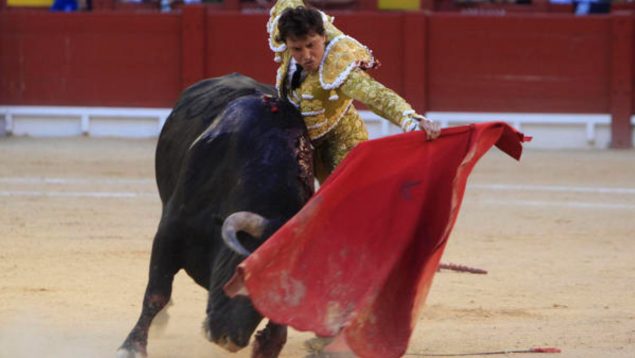 Roca Rey Alicante