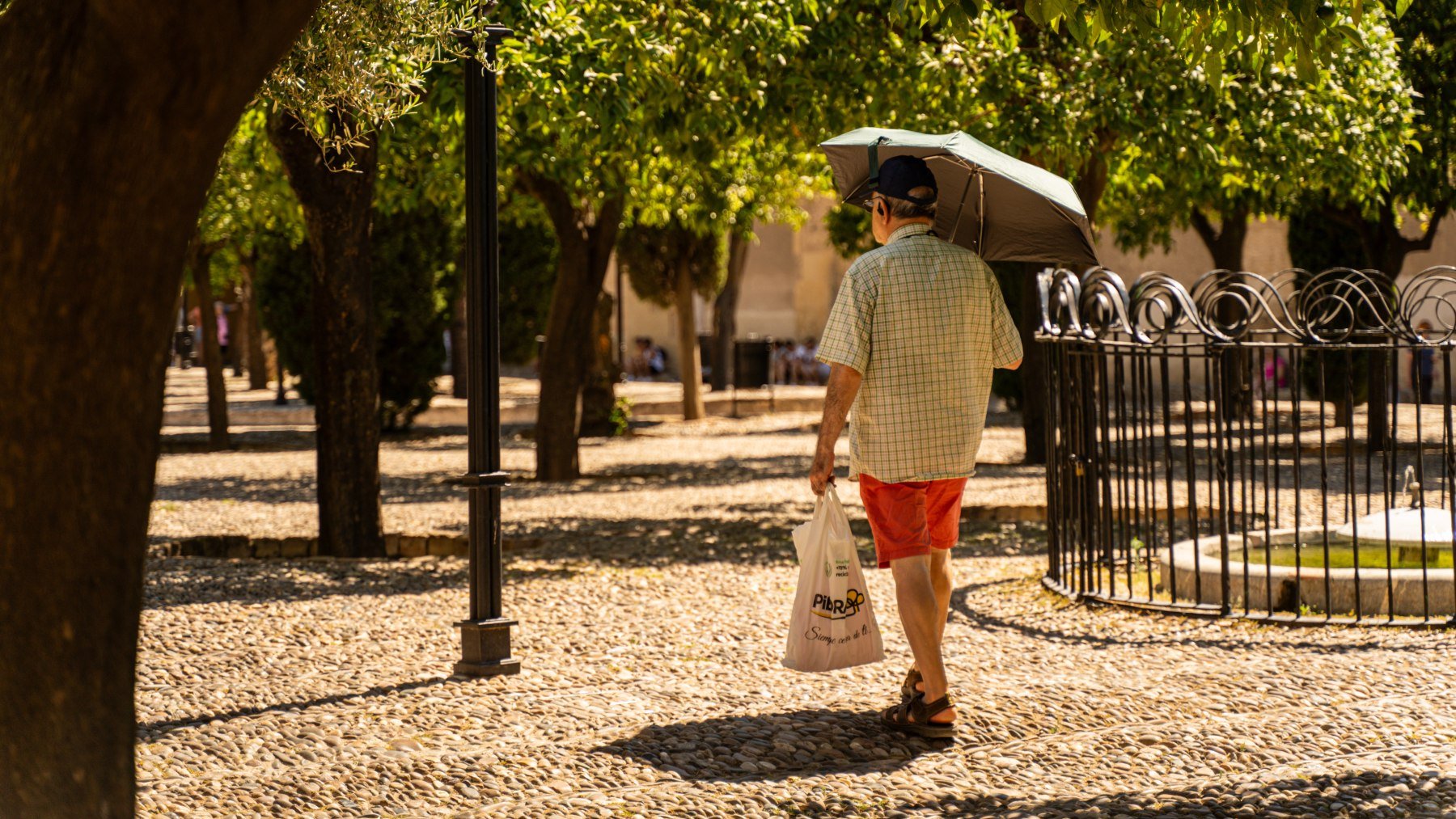 Un hombre se resguarda del sol de Córdoba con un paraguas. (Foto: Guillermo Morales)