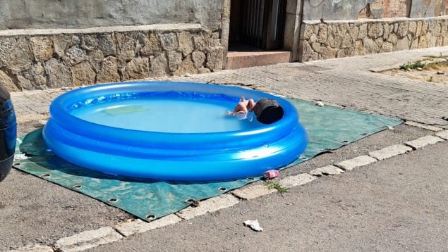 piscina Corea Son Gotleu