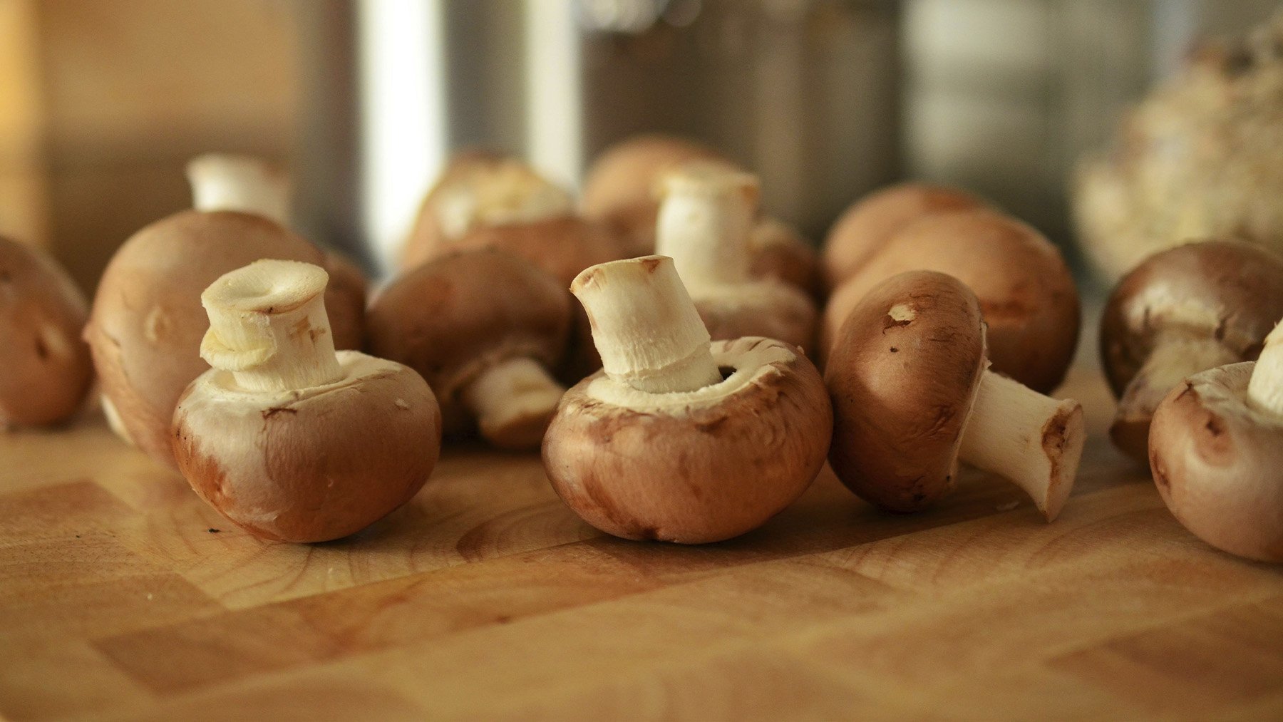 Champiñones. Foto: Pexels.