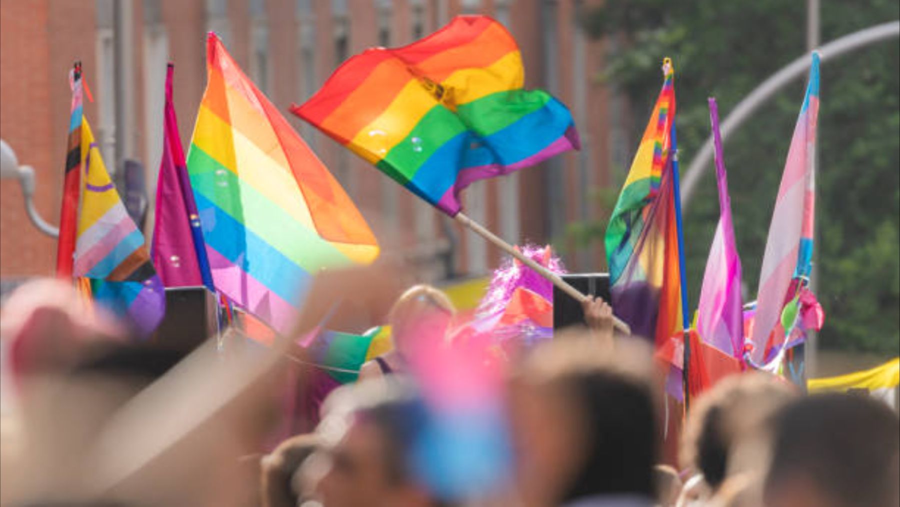 Cómo es la bandera del Orgullo Gay y cuáles son los colores