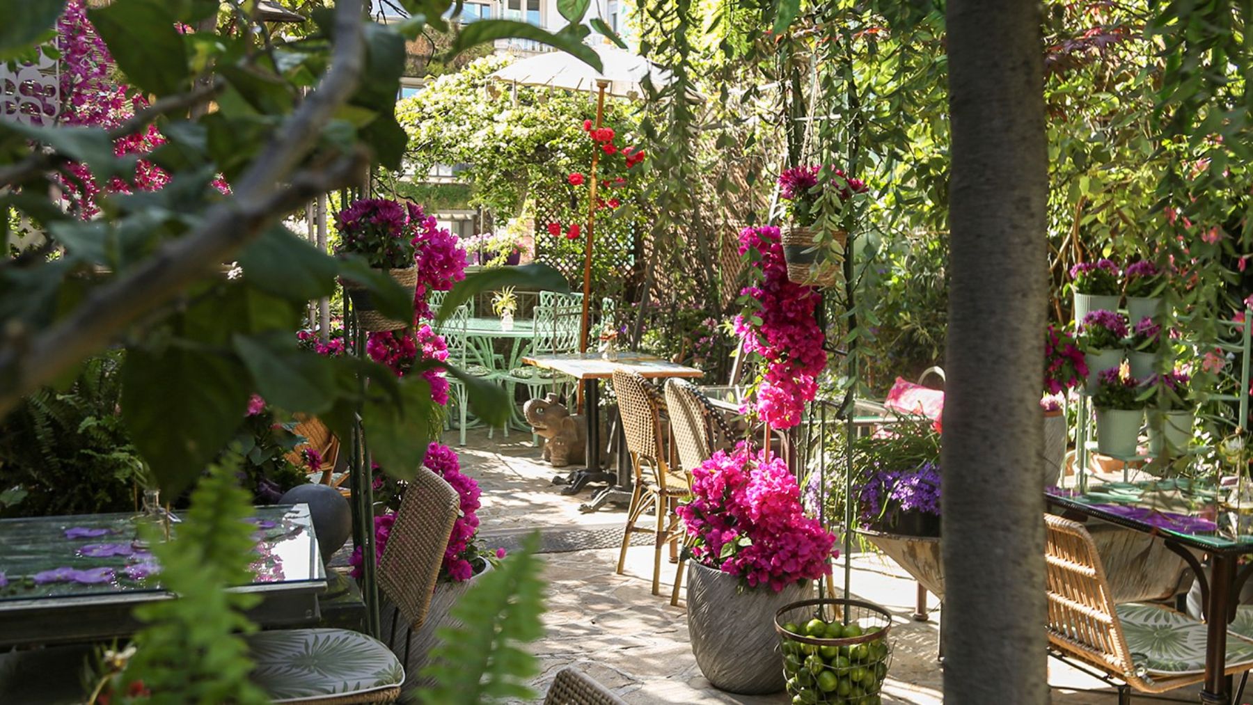 El Jardín. (Foto: restaurantesalvadorbachiller.es)