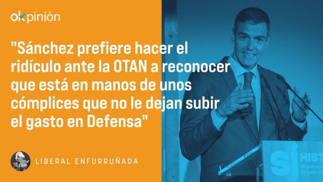 Sánchez OTAN, opinión