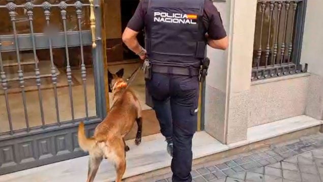 Ver vídeo