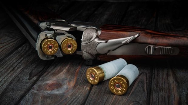 rifle y cartuchos