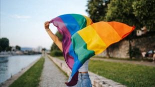 Orgullo Gay