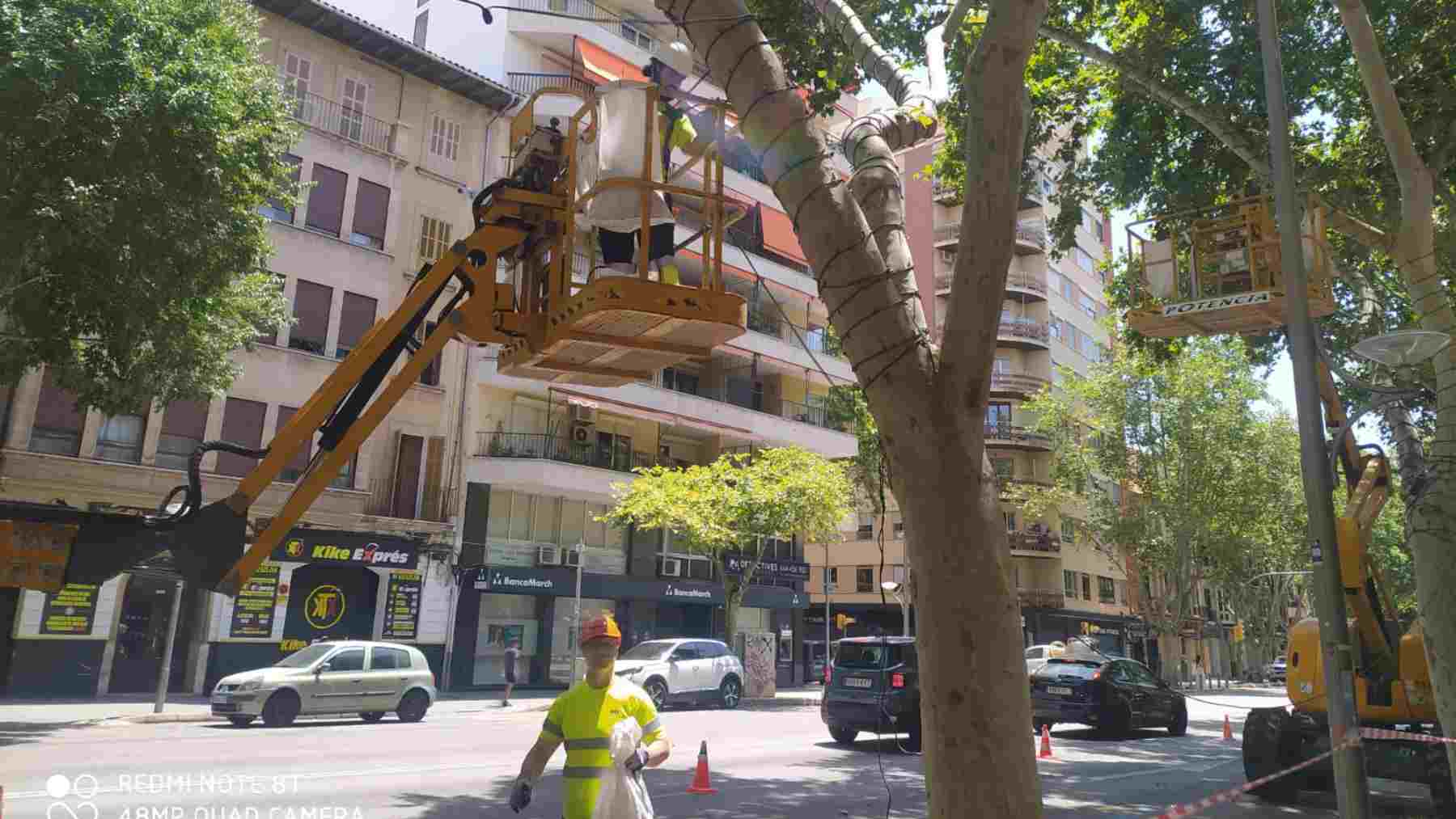 Operarios municipales colocando las luces de Navidad en Palma este mes de junio.